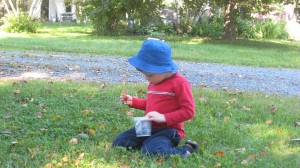 Lex cleans up the leaves