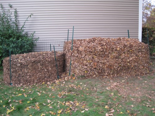 Two leaf composting piles, the one on the left is last year's leaves.