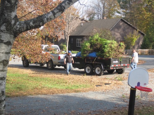 This truck and trailer contains all of our remaining leaves and the shrubs from the front of the house!