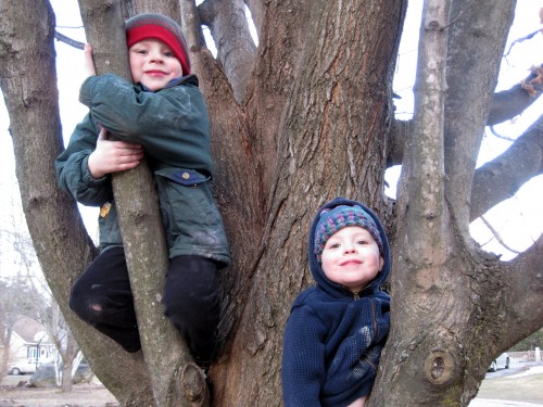 Two in a tree