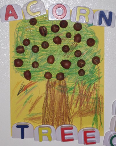 Acorn tree