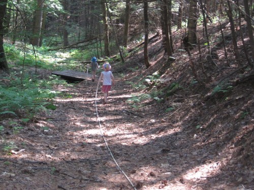 on the nature trail