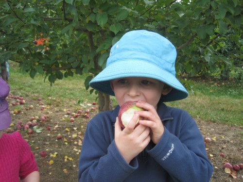 lex eating apples