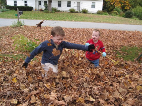 kids in the leaves