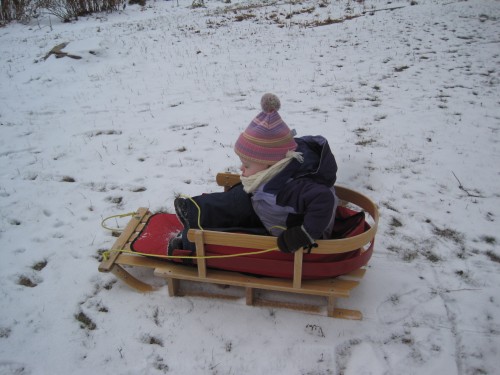 Eve on the sled