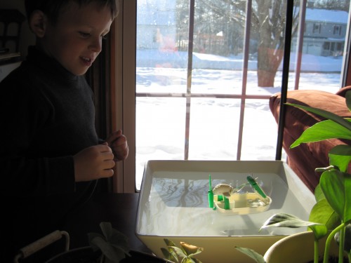 Solar boat Solar boat