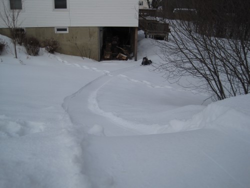 lex sledding