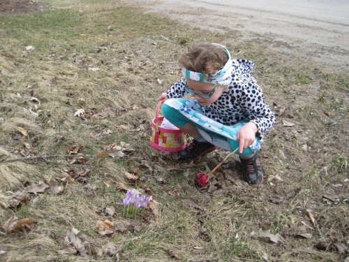 While looking for eggs, Eve and I discovered a little bit of spring!!!