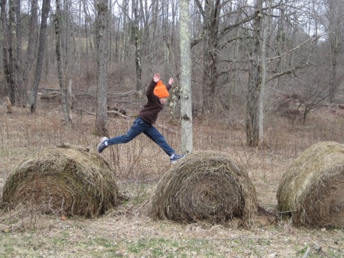 Hay bales!  He ran back and forth over these for a long time!  Nature's playground.