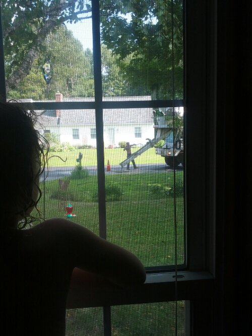 IMG_20130717_155042.jpg image