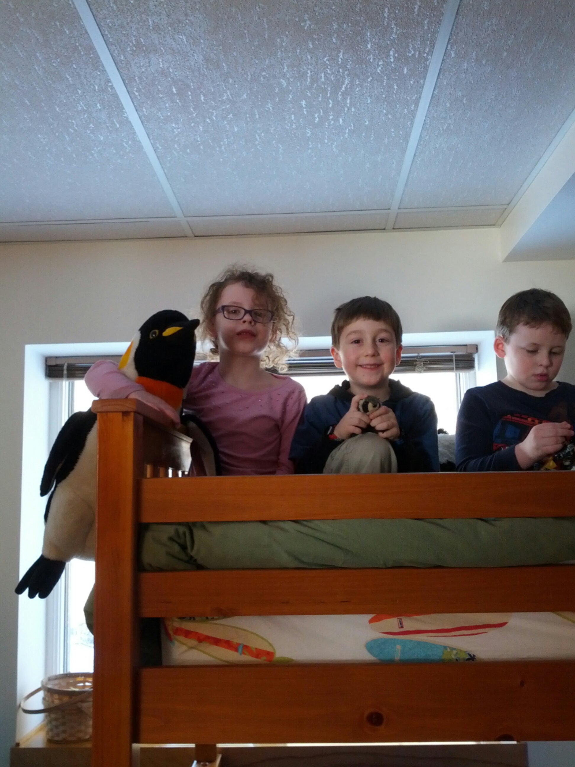 IMG_20140126_102531.jpg image