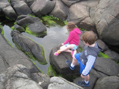 We found several tide pools among the giant rocks by the shore.