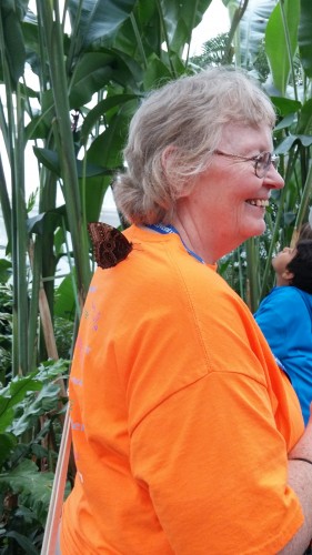 This little guy hitched a ride on Mema's shoulder as she wandered around.
