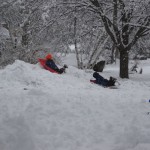 Sledding on the plow pile