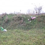 rolling down the hill